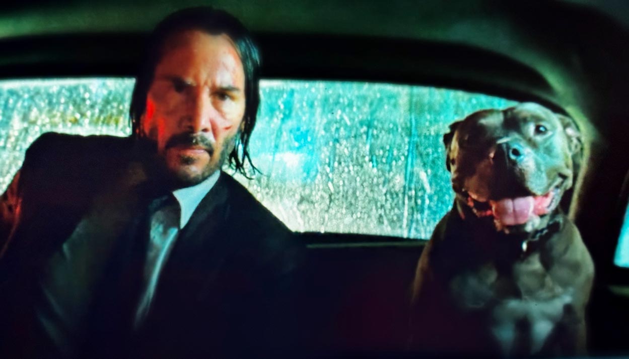 The dreamer is the whole dream, the deep archetypes of John Wick ...